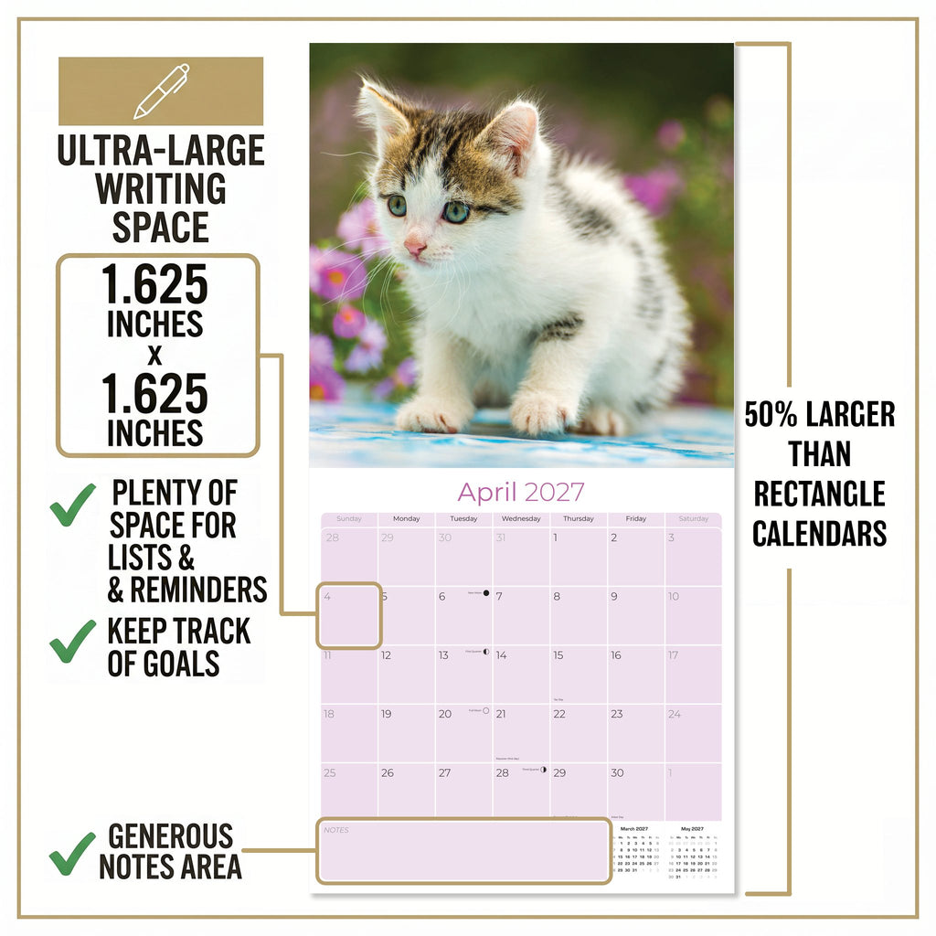 Kittens Wall Calendar 2027 - 12" x 12" Monthly Adorable Felines & Fluffy House Cat Pups Calendar