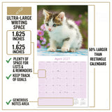 Kittens Wall Calendar 2027 - 12" x 12" Monthly Adorable Felines & Fluffy House Cat Pups Calendar