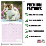 Kittens Wall Calendar 2027 - 12" x 12" Monthly Adorable Felines & Fluffy House Cat Pups Calendar