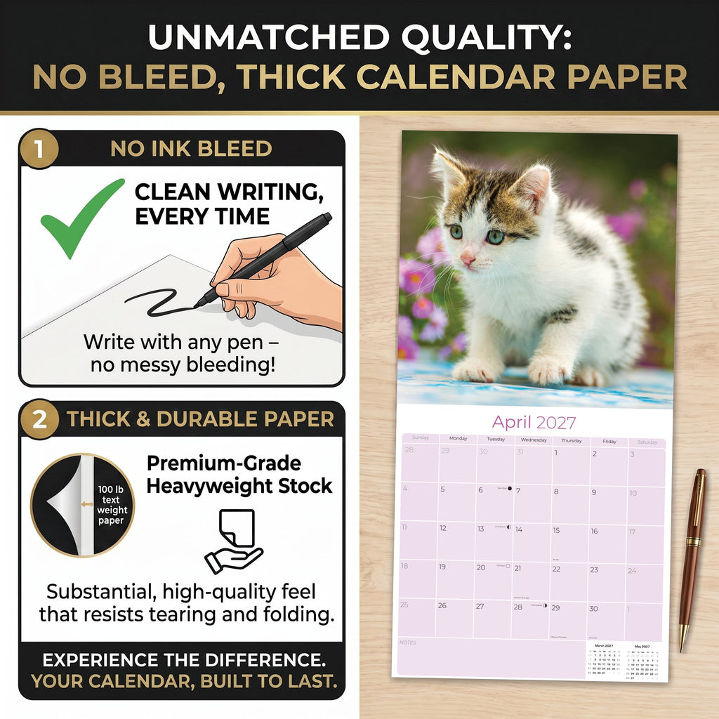 Kittens Wall Calendar 2027 - 12" x 12" Monthly Adorable Felines & Fluffy House Cat Pups Calendar
