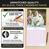 Kittens Wall Calendar 2027 - 12" x 12" Monthly Adorable Felines & Fluffy House Cat Pups Calendar