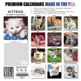 Kittens Wall Calendar 2027 - 12" x 12" Monthly Adorable Felines & Fluffy House Cat Pups Calendar