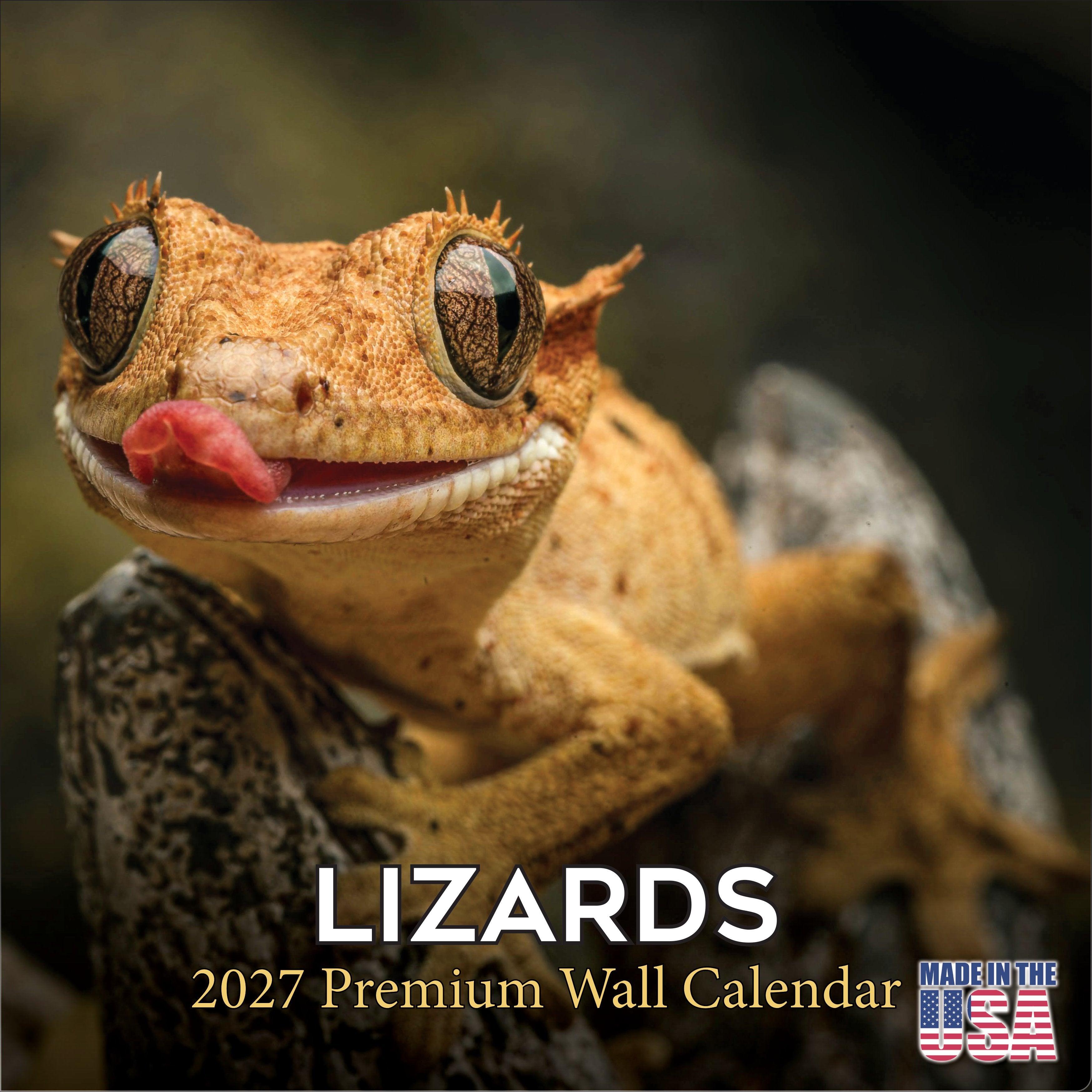 Lizards Wall Calendar 2027 - 12