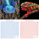 Lizards Wall Calendar 2027 - 12" x 12" Monthly Exotic Reptiles & Colorful Scaled Terrarium Nature Calendar