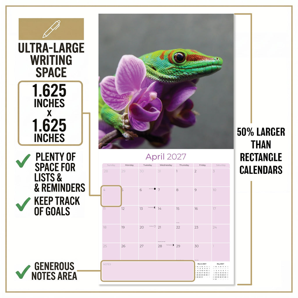 Lizards Wall Calendar 2027 - 12" x 12" Monthly Exotic Reptiles & Colorful Scaled Terrarium Nature Calendar