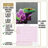 Lizards Wall Calendar 2027 - 12" x 12" Monthly Exotic Reptiles & Colorful Scaled Terrarium Nature Calendar