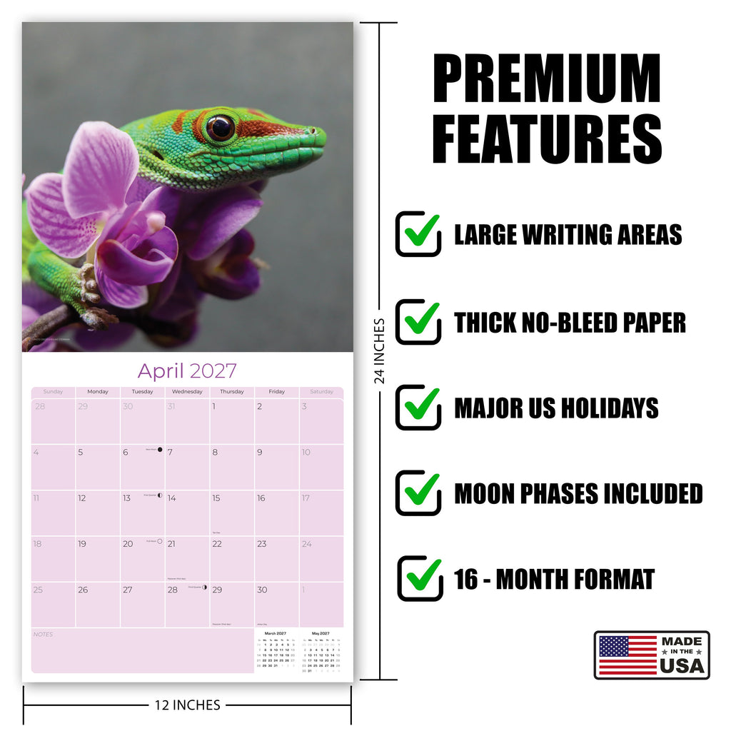 Lizards Wall Calendar 2027 - 12" x 12" Monthly Exotic Reptiles & Colorful Scaled Terrarium Nature Calendar