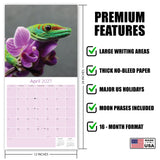 Lizards Wall Calendar 2027 - 12" x 12" Monthly Exotic Reptiles & Colorful Scaled Terrarium Nature Calendar