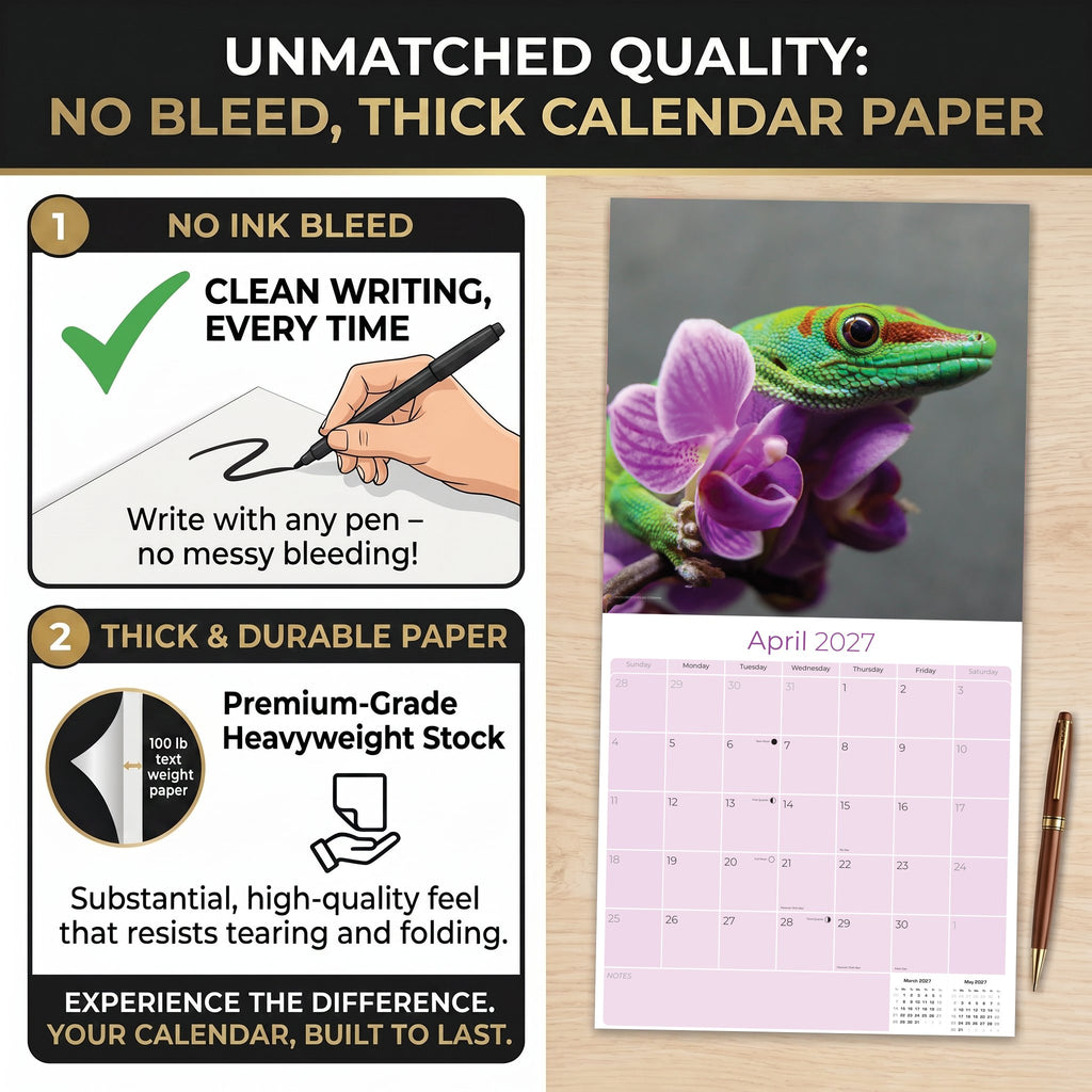 Lizards Wall Calendar 2027 - 12" x 12" Monthly Exotic Reptiles & Colorful Scaled Terrarium Nature Calendar