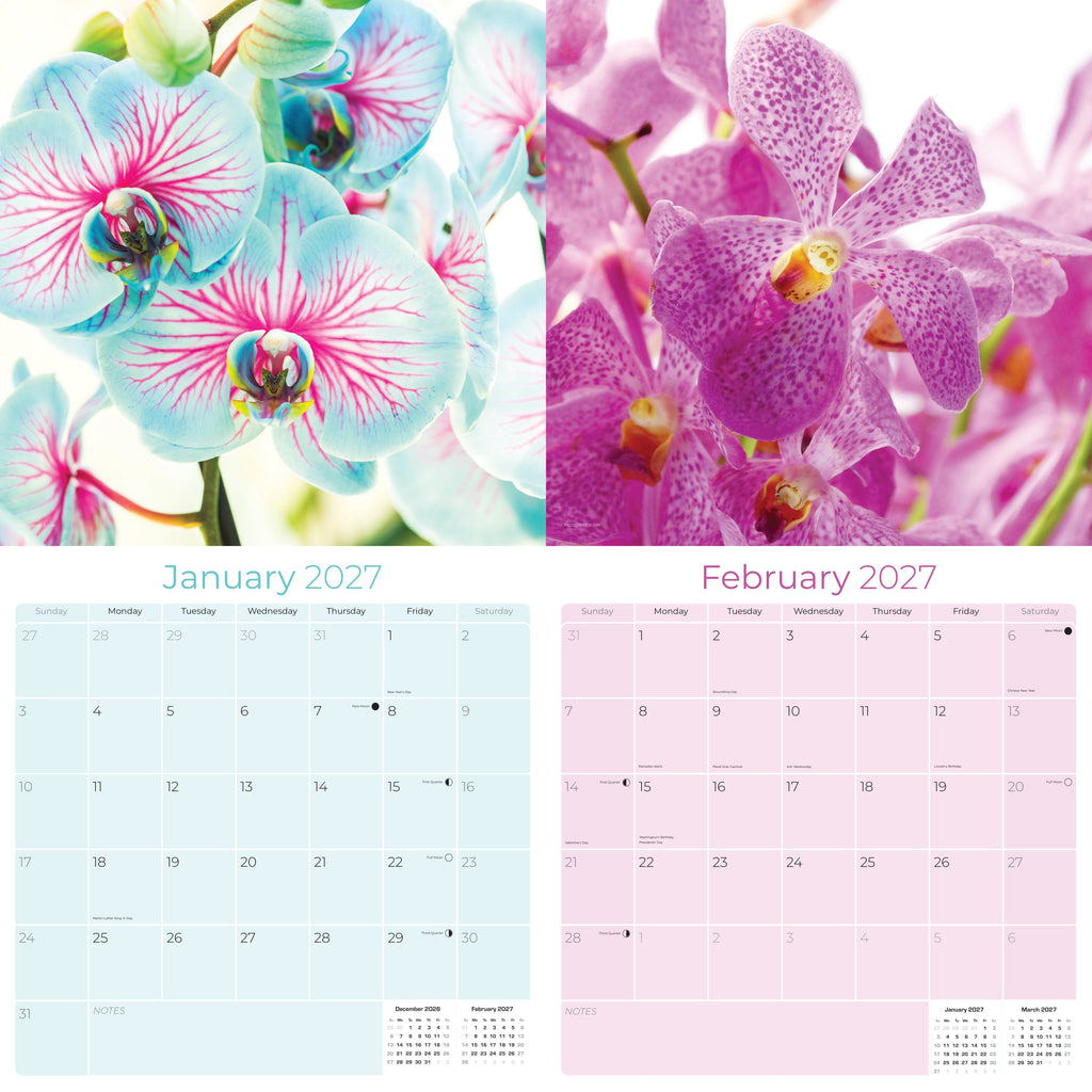 Orchids Wall Calendar 2027 - 12" x 12" Monthly Exotic Flowers & Vibrant Botanical Photography Calendar