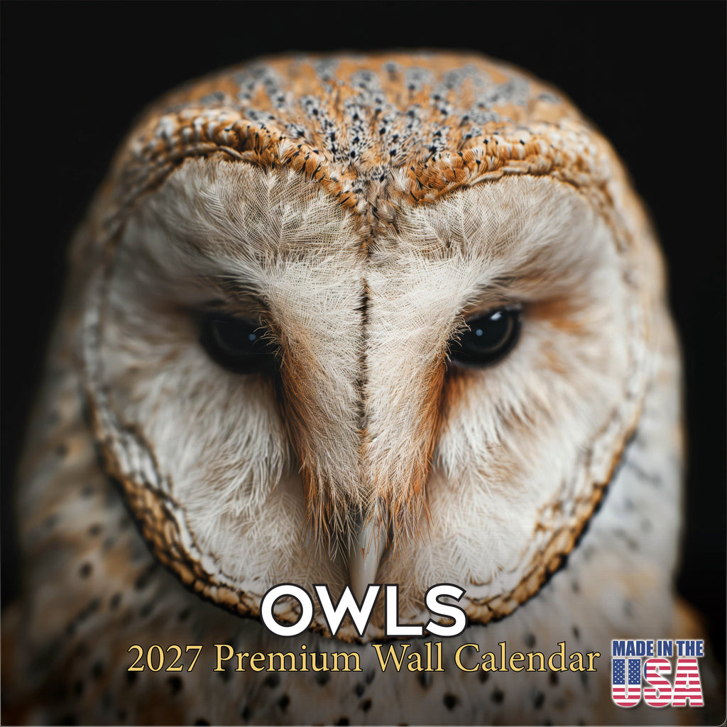 Owls Wall Calendar 2027 - 12" x 12" Monthly Majestic Raptors & Wise Nocturnal Bird Calendar