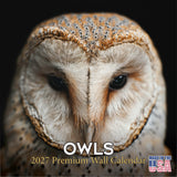 Owls Wall Calendar 2027 - 12" x 12" Monthly Majestic Raptors & Wise Nocturnal Bird Calendar