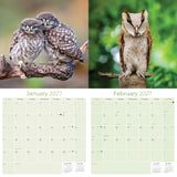 Owls Wall Calendar 2027 - 12" x 12" Monthly Majestic Raptors & Wise Nocturnal Bird Calendar