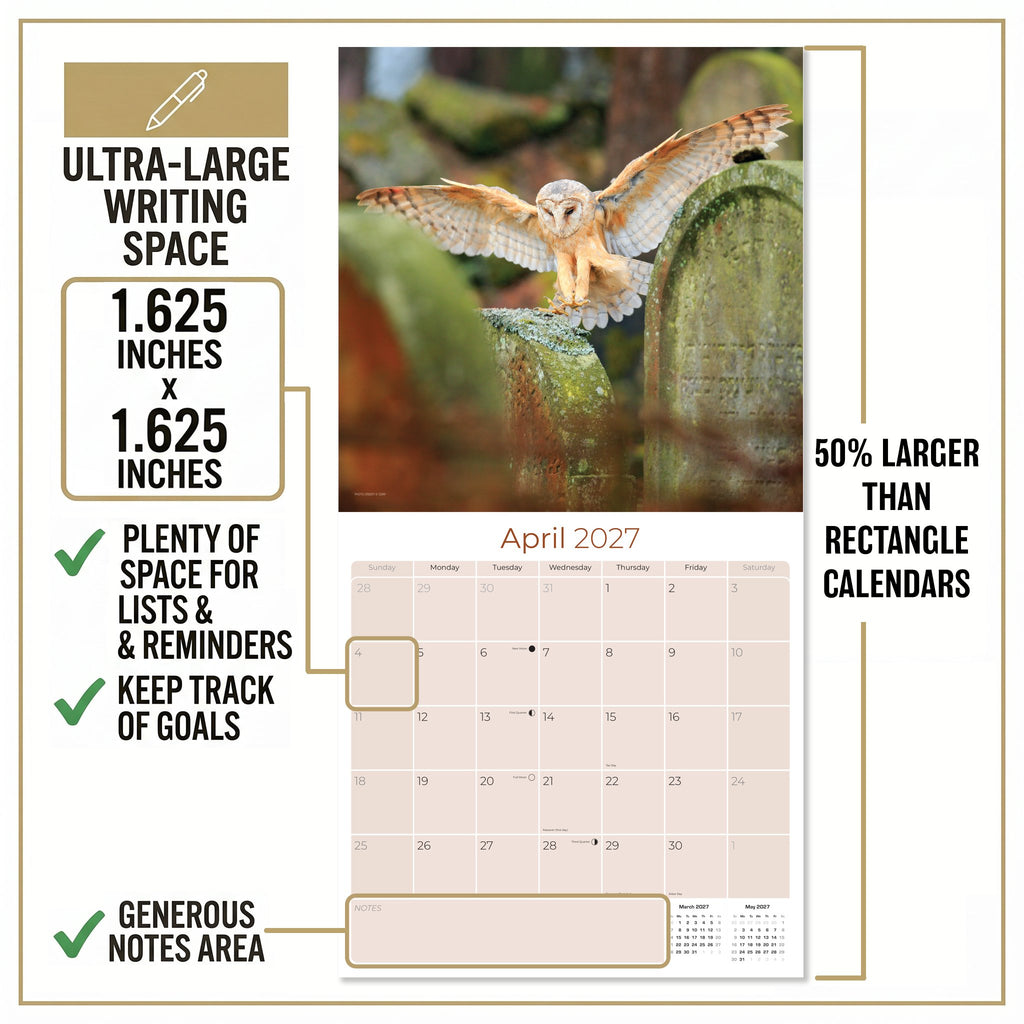Owls Wall Calendar 2027 - 12" x 12" Monthly Majestic Raptors & Wise Nocturnal Bird Calendar