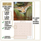 Owls Wall Calendar 2027 - 12" x 12" Monthly Majestic Raptors & Wise Nocturnal Bird Calendar