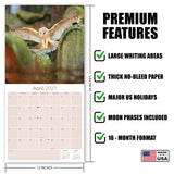 Owls Wall Calendar 2027 - 12" x 12" Monthly Majestic Raptors & Wise Nocturnal Bird Calendar