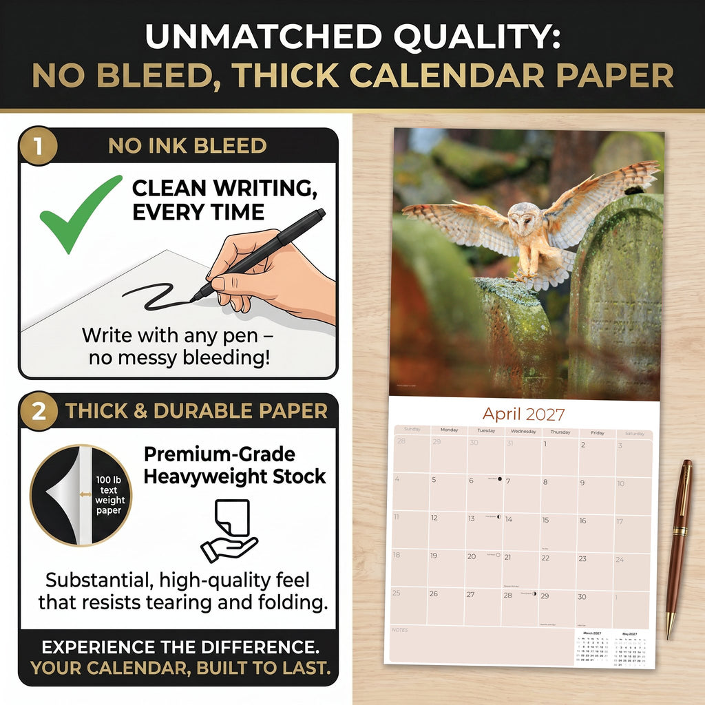 Owls Wall Calendar 2027 - 12" x 12" Monthly Majestic Raptors & Wise Nocturnal Bird Calendar
