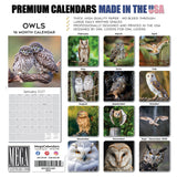 Owls Wall Calendar 2027 - 12" x 12" Monthly Majestic Raptors & Wise Nocturnal Bird Calendar