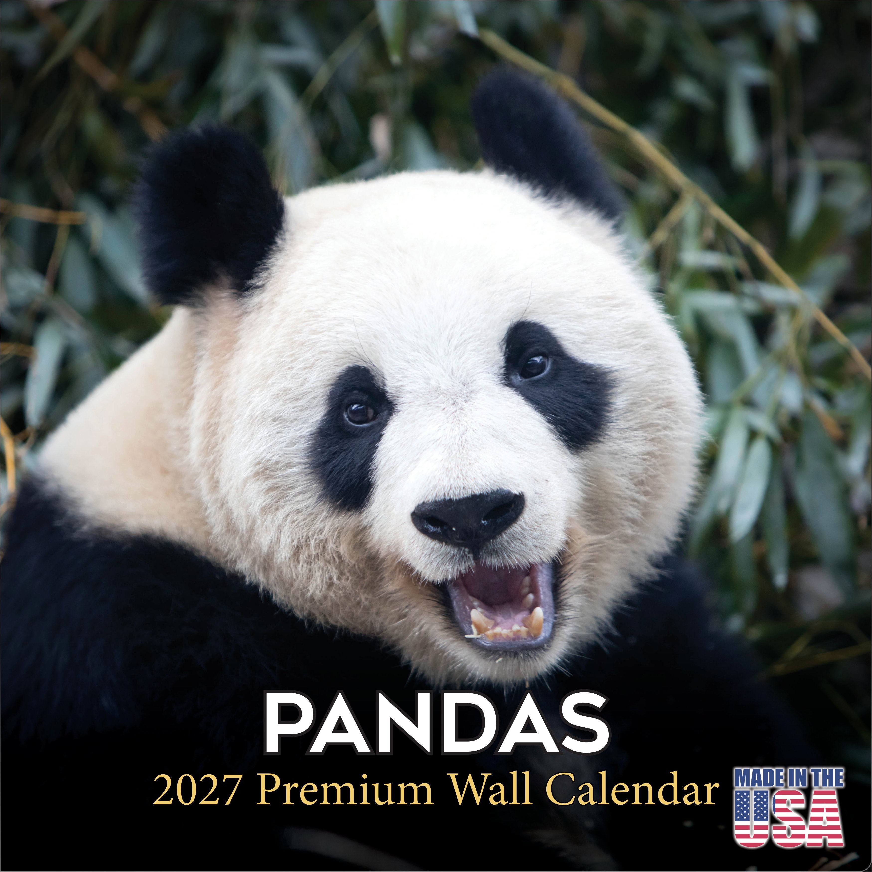 Pandas Wall Calendar 2027 - 12