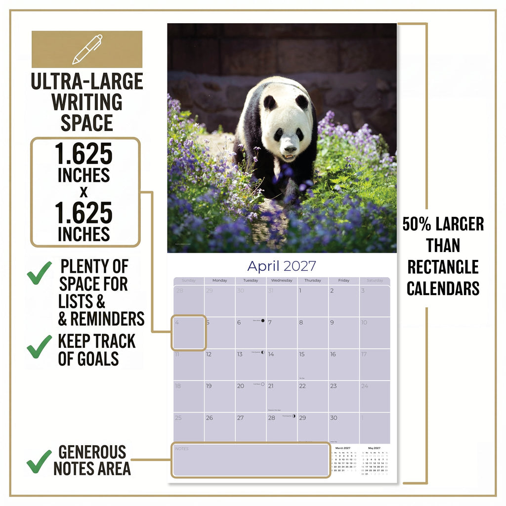 Pandas Wall Calendar 2027 - 12" x 12" Monthly Adorable Giant Pandas & Cute Bamboo Nature Calendar