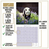 Pandas Wall Calendar 2027 - 12" x 12" Monthly Adorable Giant Pandas & Cute Bamboo Nature Calendar