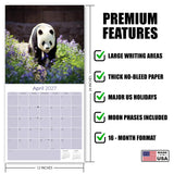 Pandas Wall Calendar 2027 - 12" x 12" Monthly Adorable Giant Pandas & Cute Bamboo Nature Calendar