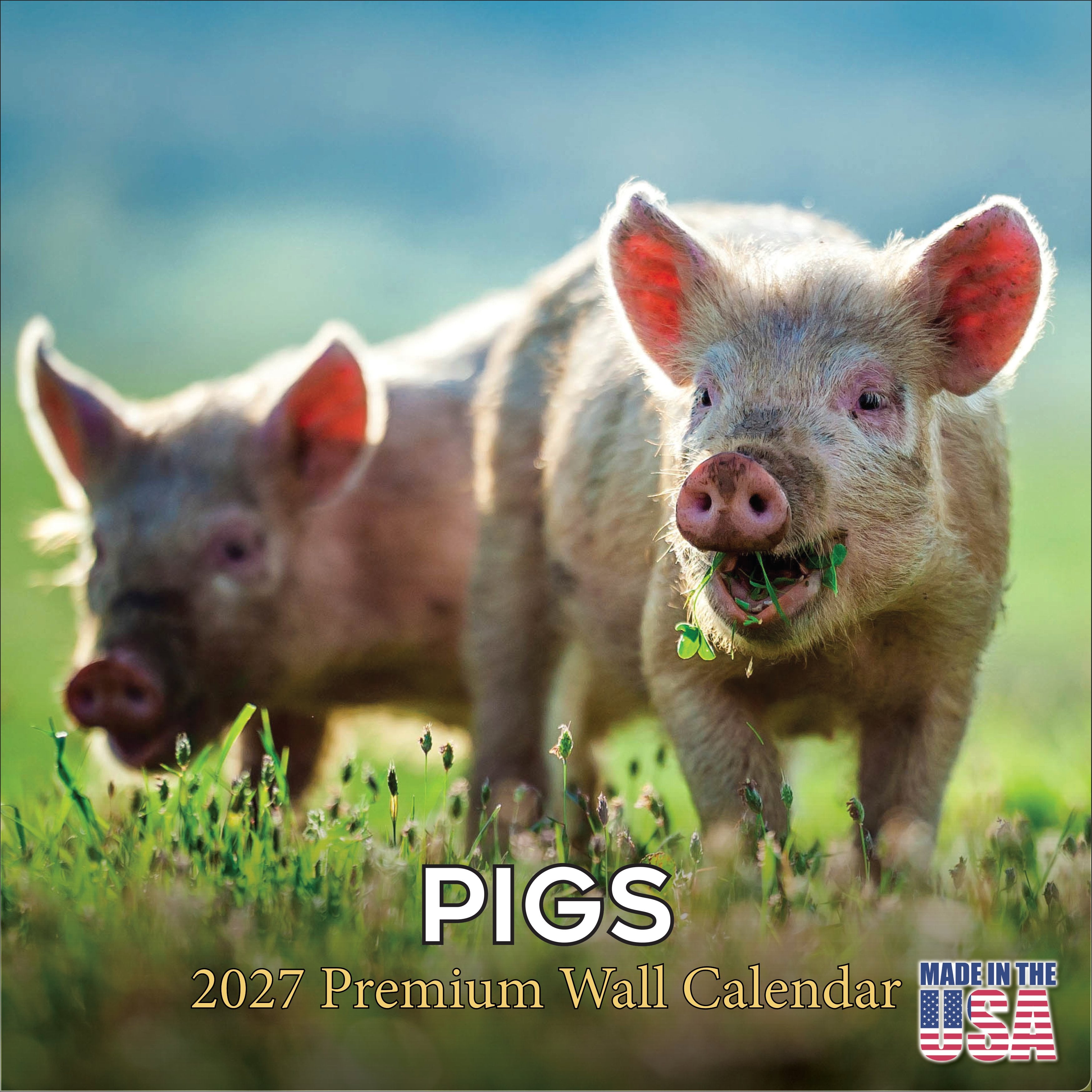 Pigs Wall Calendar 2027 - 12