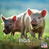 Pigs Wall Calendar 2027 - 12" x 12" Monthly Intelligent Farm Animals & Clever Heritage Hog Calendar