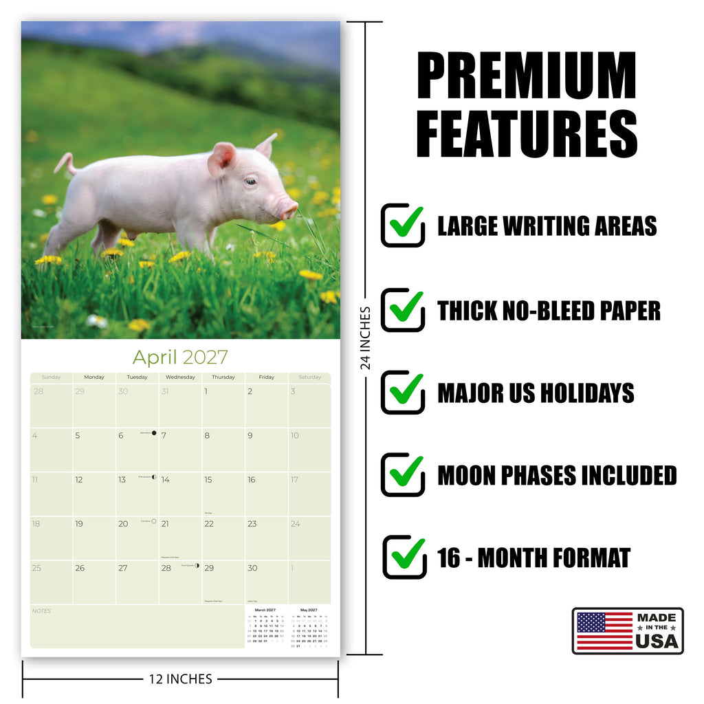 Pigs Wall Calendar 2027 - 12" x 12" Monthly Intelligent Farm Animals & Clever Heritage Hog Calendar