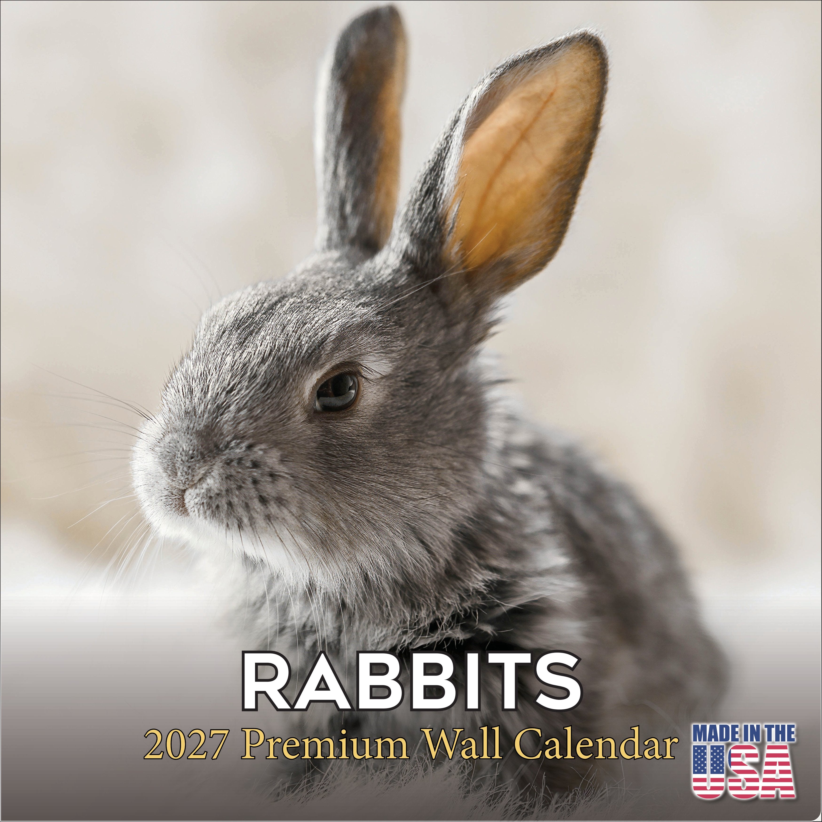 Rabbits Wall Calendar 2027 - 12