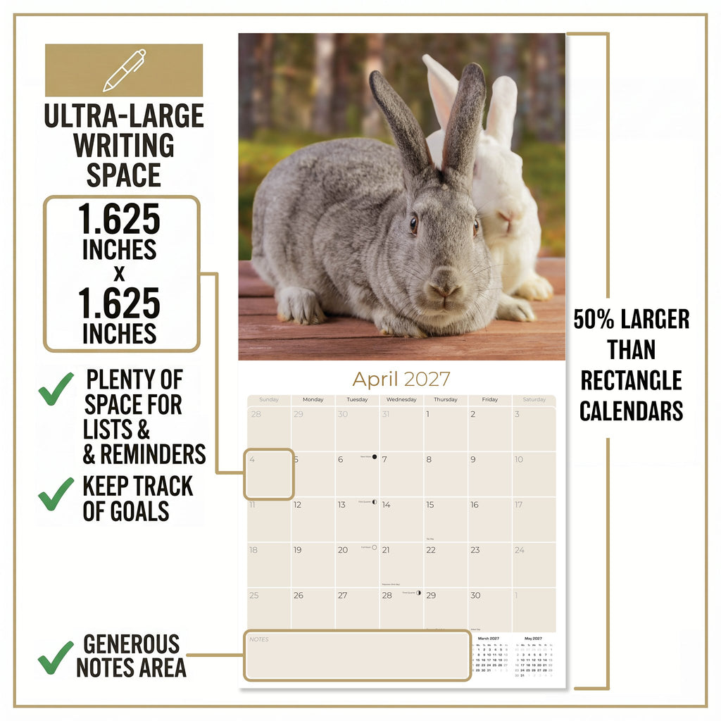 Rabbits Wall Calendar 2027 - 12" x 12" Monthly Gentle & Curious Bunny Rabbit Nature Calendar