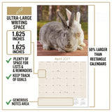 Rabbits Wall Calendar 2027 - 12" x 12" Monthly Gentle & Curious Bunny Rabbit Nature Calendar
