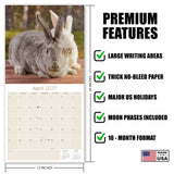 Rabbits Wall Calendar 2027 - 12" x 12" Monthly Gentle & Curious Bunny Rabbit Nature Calendar