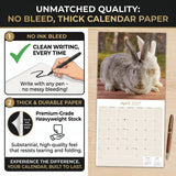 Rabbits Wall Calendar 2027 - 12" x 12" Monthly Gentle & Curious Bunny Rabbit Nature Calendar