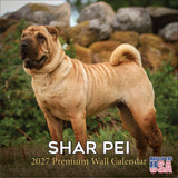 Shar Pei Wall Calendar 2027 - 12" x 12" Monthly Loyal & Independent Wrinkle Dog Breed Calendar