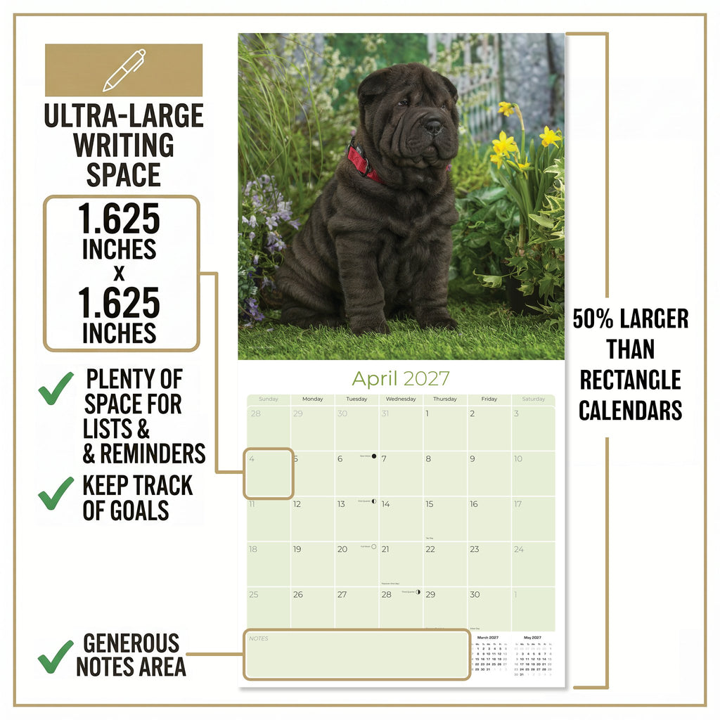 Shar Pei Wall Calendar 2027 - 12" x 12" Monthly Loyal & Independent Wrinkle Dog Breed Calendar