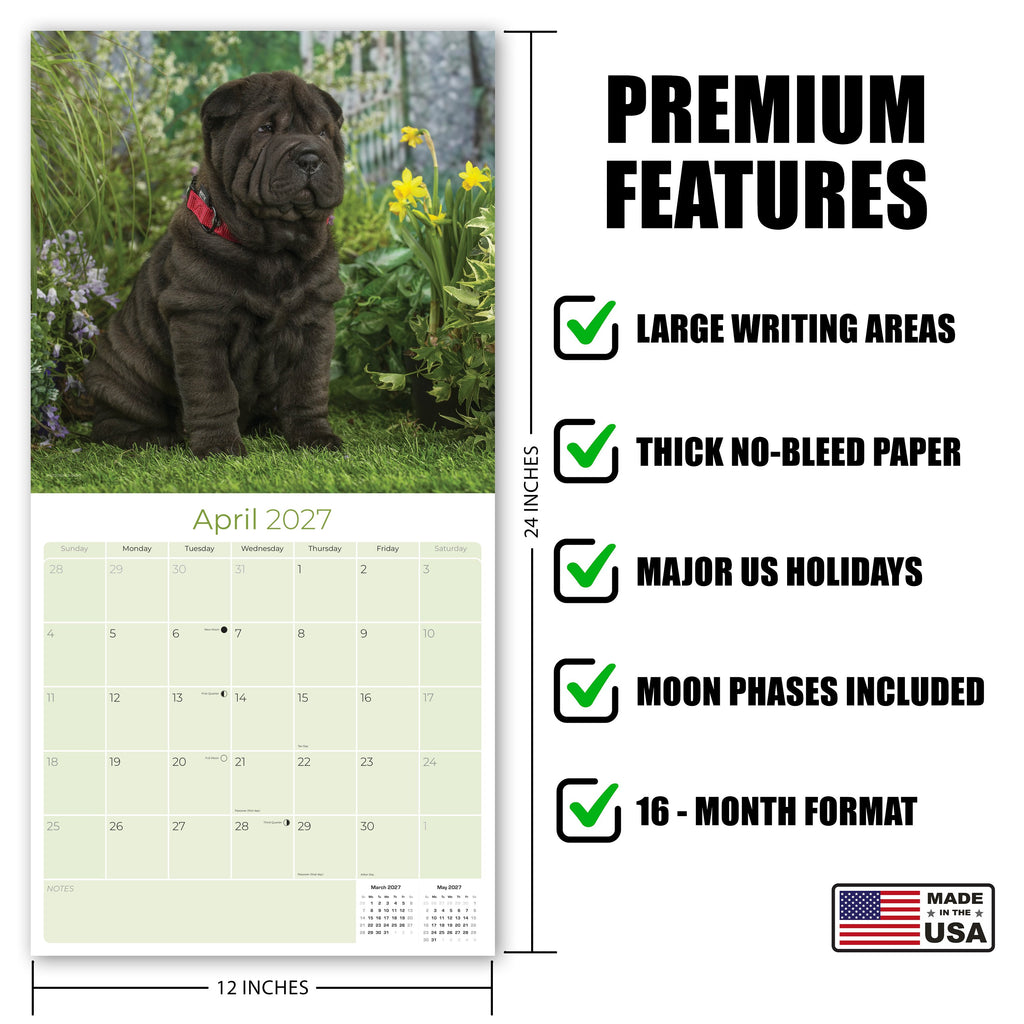Shar Pei Wall Calendar 2027 - 12" x 12" Monthly Loyal & Independent Wrinkle Dog Breed Calendar