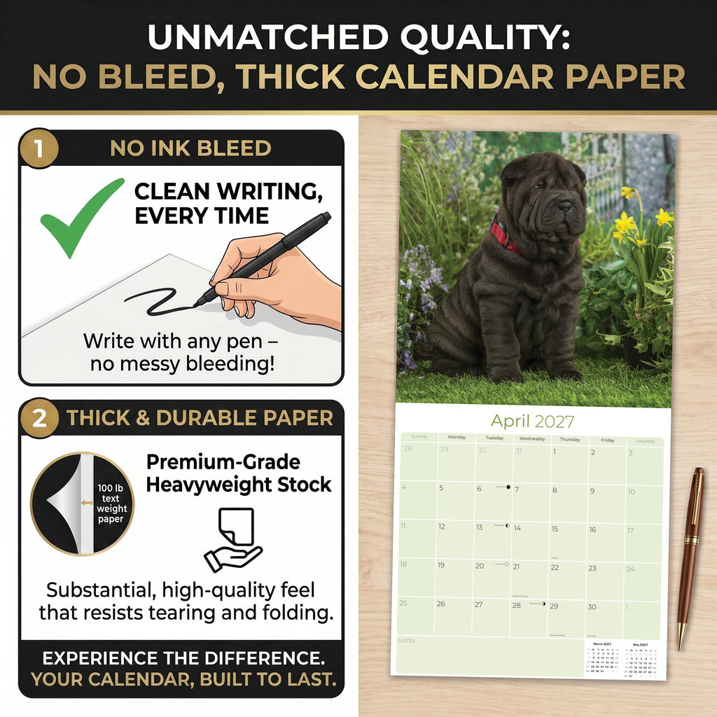 Shar Pei Wall Calendar 2027 - 12" x 12" Monthly Loyal & Independent Wrinkle Dog Breed Calendar