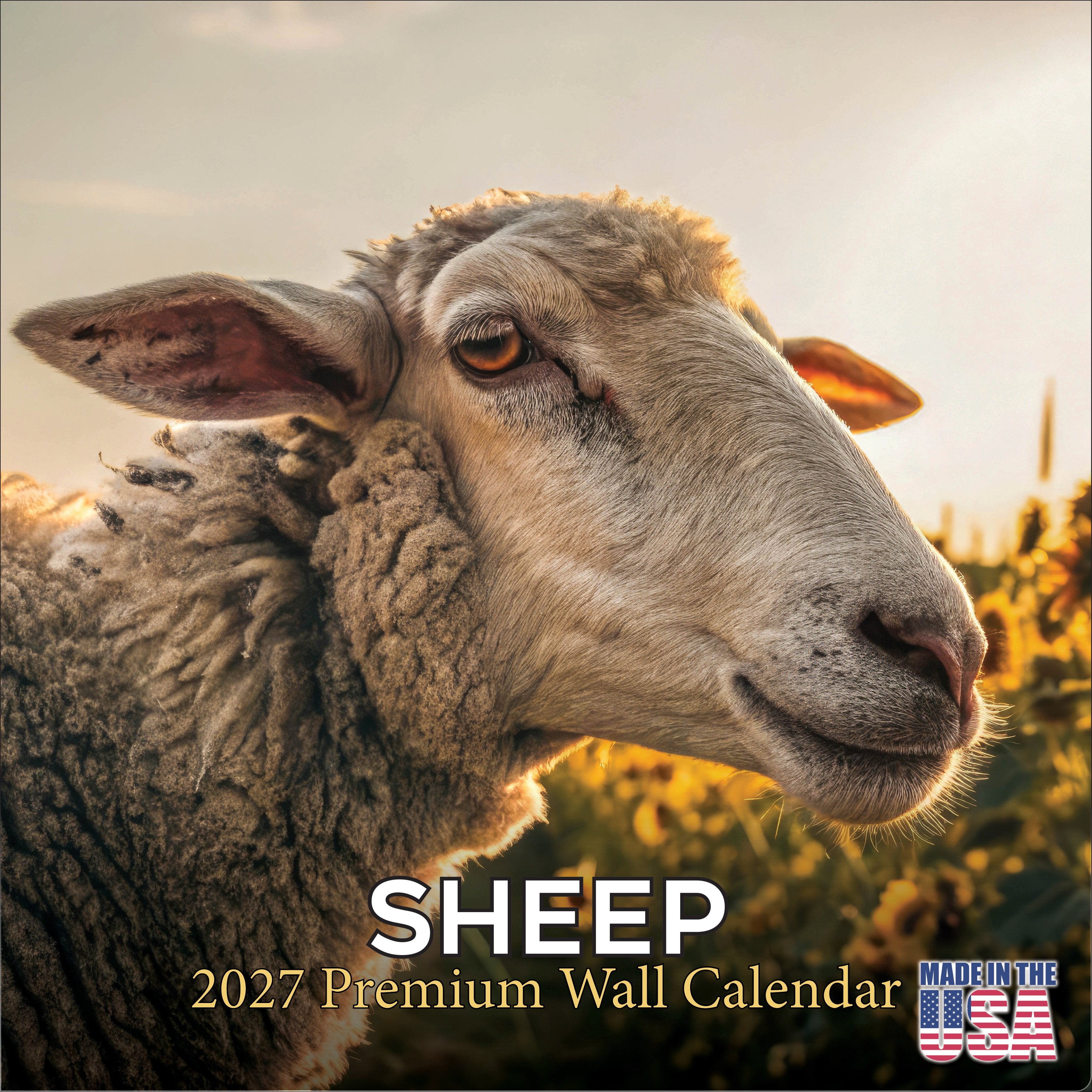 Sheep Wall Calendar 2027 - 12