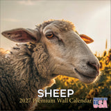 Sheep Wall Calendar 2027 - 12" x 12" Monthly Gentle & Pastoral Farm Animal Sheep Breed Calendar