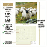 Sheep Wall Calendar 2027 - 12" x 12" Monthly Gentle & Pastoral Farm Animal Sheep Breed Calendar