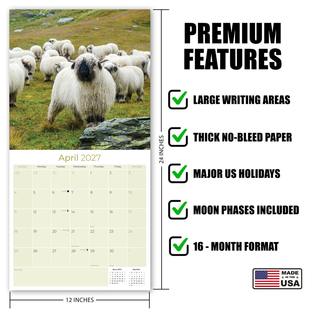 Sheep Wall Calendar 2027 - 12" x 12" Monthly Gentle & Pastoral Farm Animal Sheep Breed Calendar