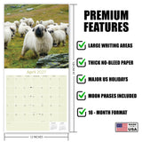 Sheep Wall Calendar 2027 - 12" x 12" Monthly Gentle & Pastoral Farm Animal Sheep Breed Calendar
