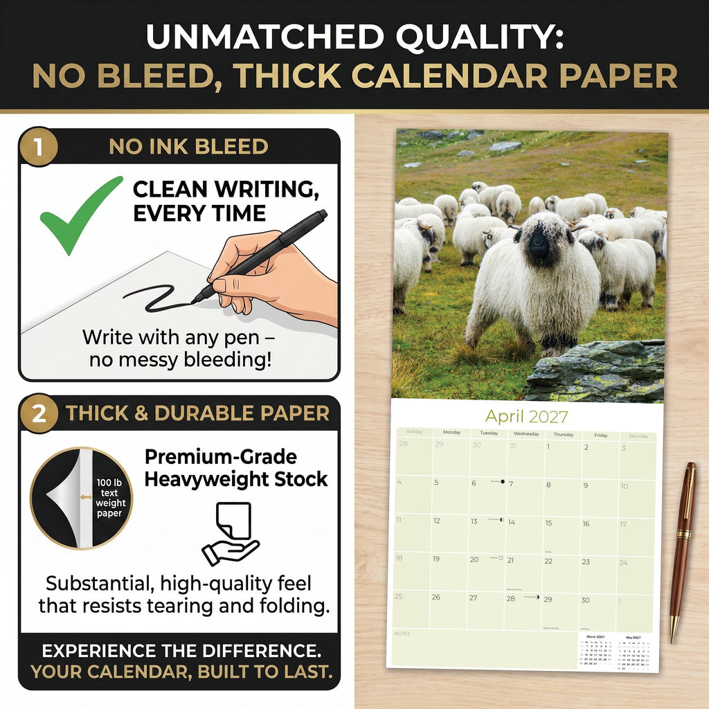 Sheep Wall Calendar 2027 - 12" x 12" Monthly Gentle & Pastoral Farm Animal Sheep Breed Calendar