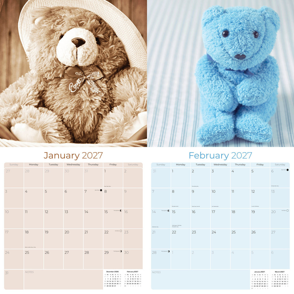 Teddy Bears Wall Calendar 2027 - 12" x 12" Monthly Nostalgic & Heartwarming Plush Toy Calendar