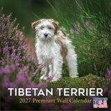 Tibetan Terrier Wall Calendar 2027 - 12" x 12" Monthly Loyal & Affectionate Tibetan Dog Breed Calendar