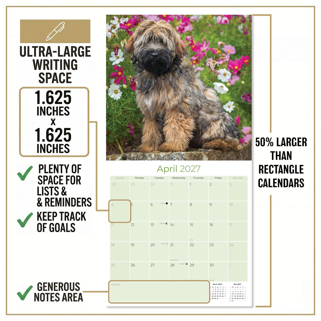 Tibetan Terrier Wall Calendar 2027 - 12" x 12" Monthly Loyal & Affectionate Tibetan Dog Breed Calendar