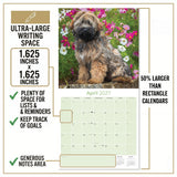 Tibetan Terrier Wall Calendar 2027 - 12" x 12" Monthly Loyal & Affectionate Tibetan Dog Breed Calendar