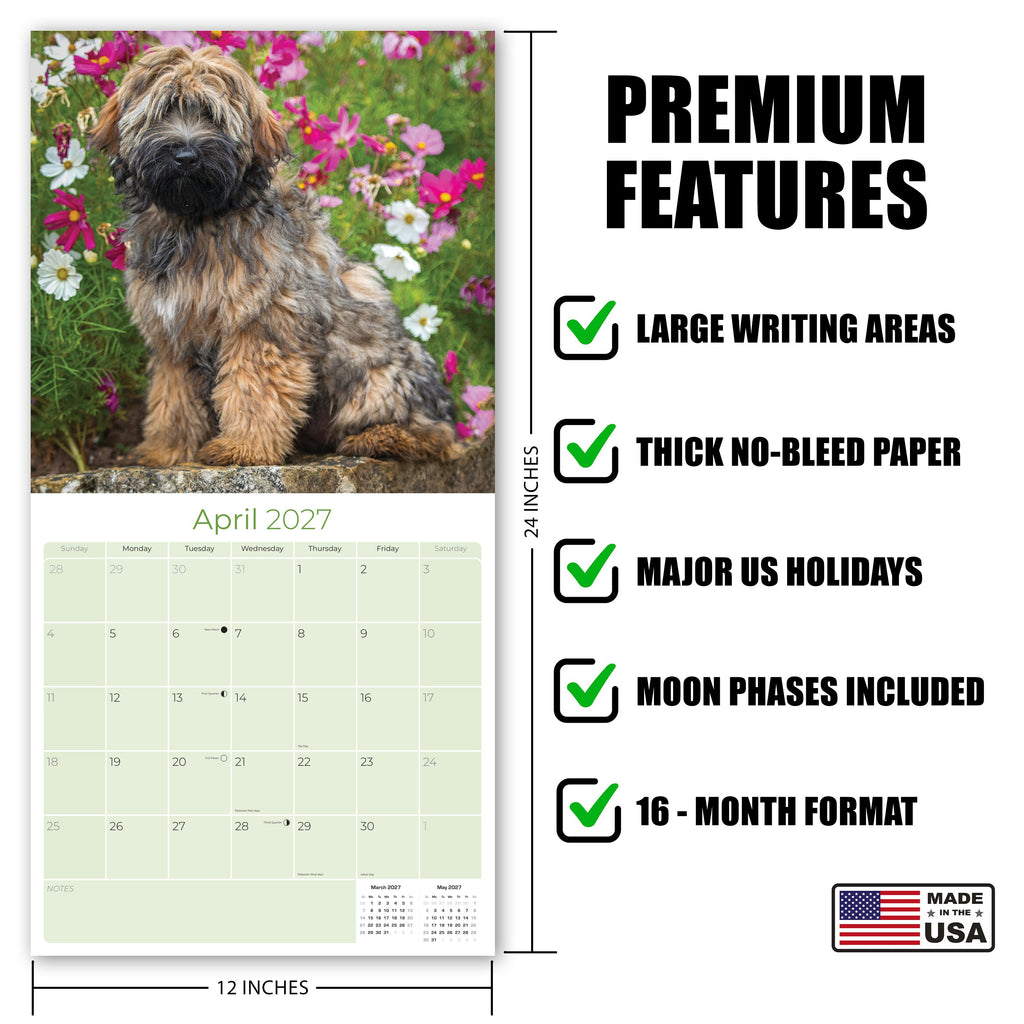 Tibetan Terrier Wall Calendar 2027 - 12" x 12" Monthly Loyal & Affectionate Tibetan Dog Breed Calendar