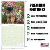Tibetan Terrier Wall Calendar 2027 - 12" x 12" Monthly Loyal & Affectionate Tibetan Dog Breed Calendar